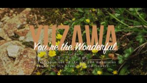 YUZAWA You’re the Wonderful 新作動画公開しました！